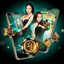 open88
