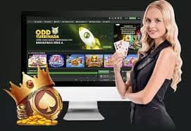 open88